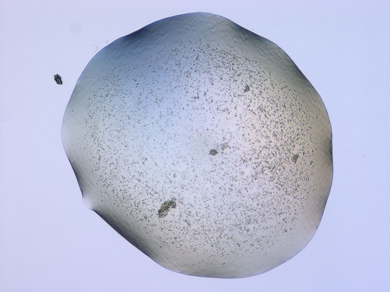 047c_F6_ImagerDefaults_3.jpg