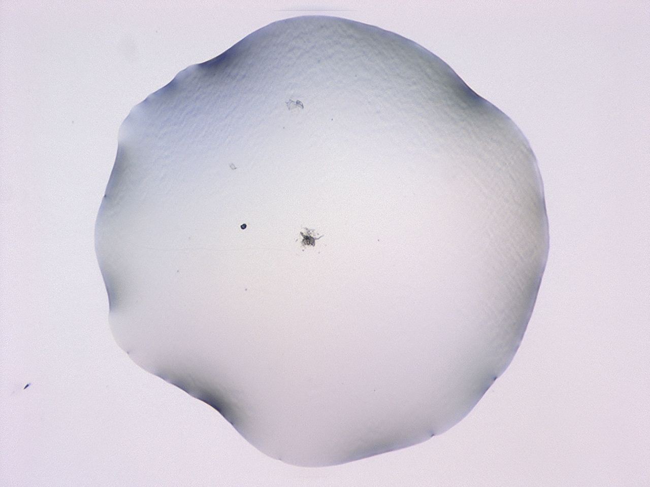 047c_F7_ImagerDefaults_1.jpg