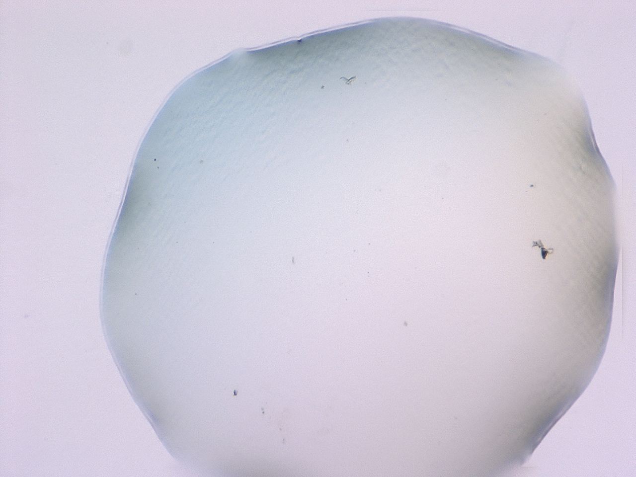 047c_F8_ImagerDefaults_1.jpg