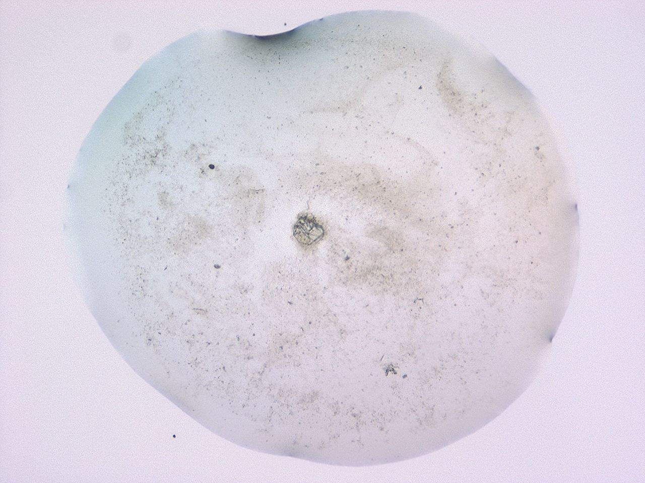 047c_F9_ImagerDefaults_3.jpg
