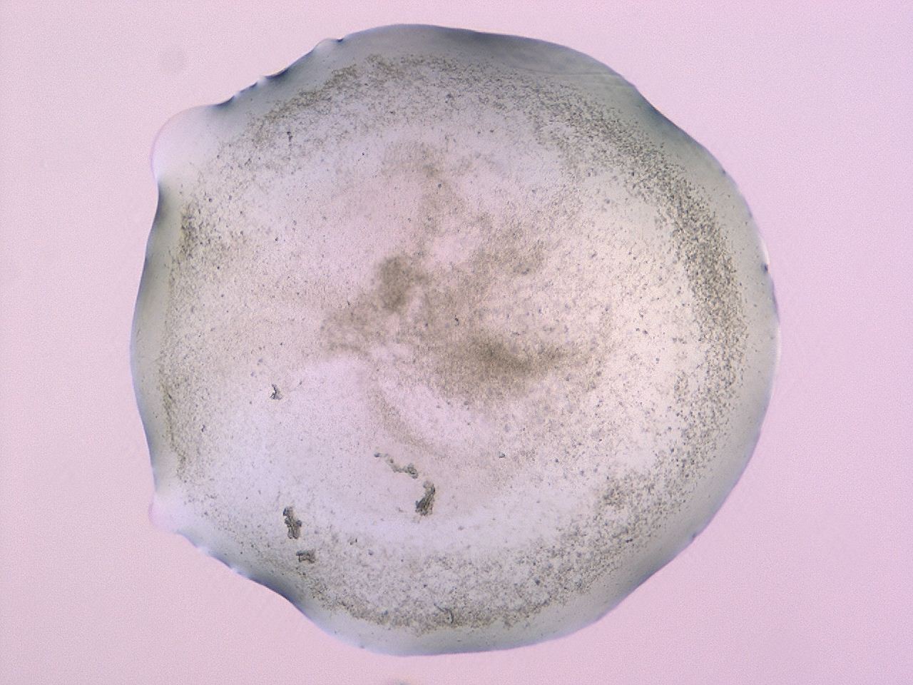 047c_F11_ImagerDefaults_3.jpg