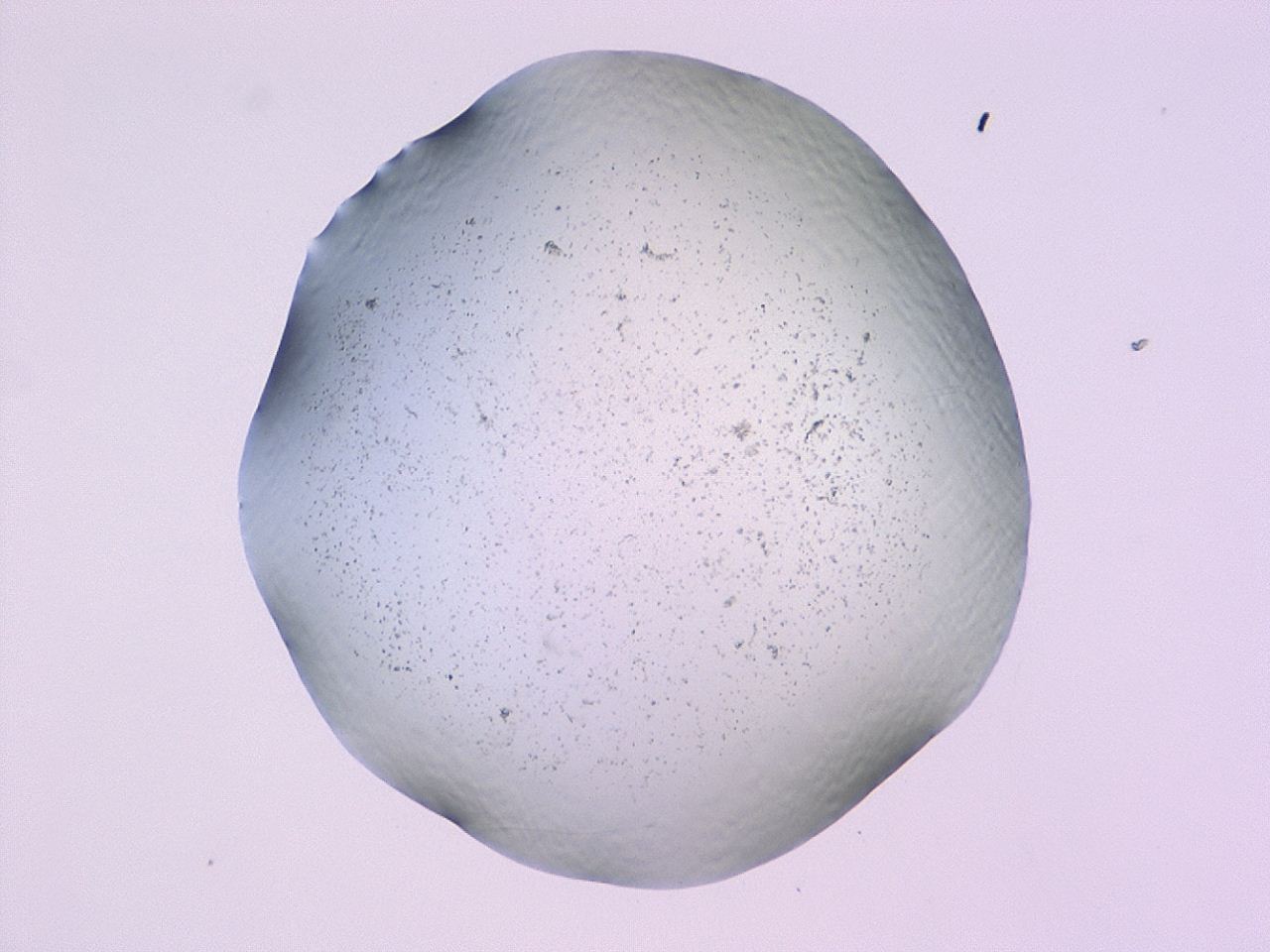 047c_F12_ImagerDefaults_3.jpg