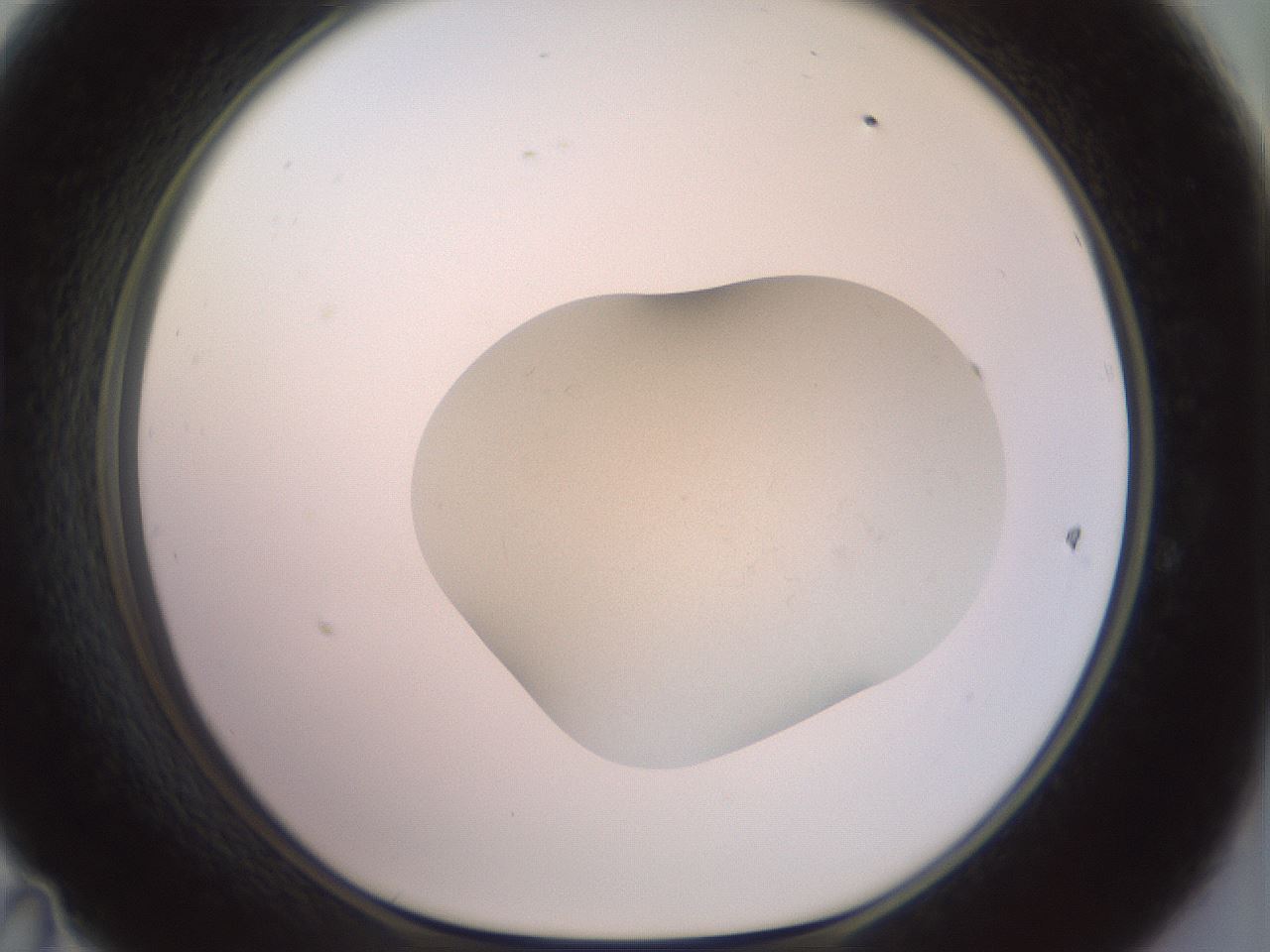 folderID465_plateID3465_batchID22374_wellNum47_profileID1_d1_r307534_ef.jpg