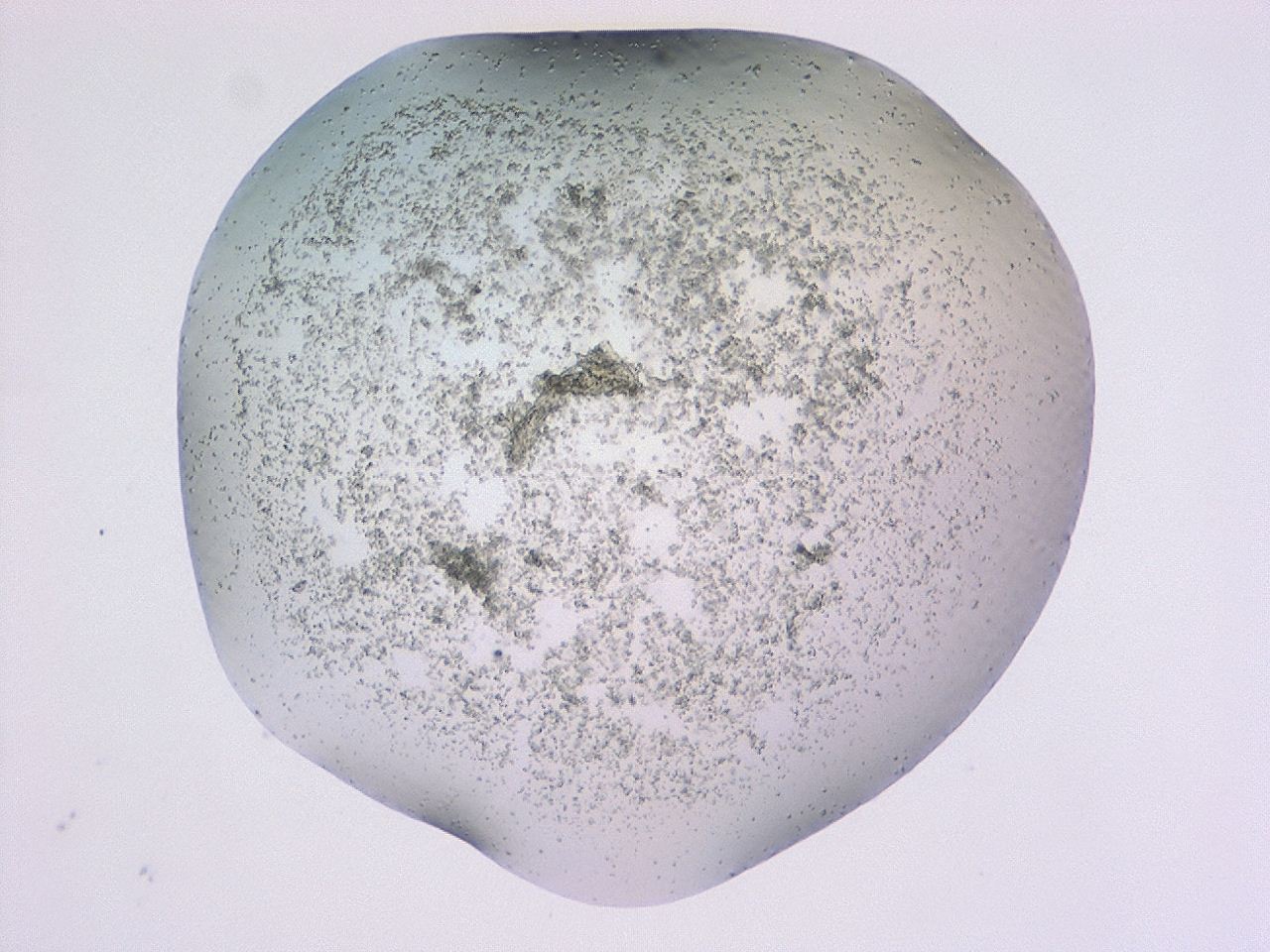 047c_G9_ImagerDefaults_3.jpg