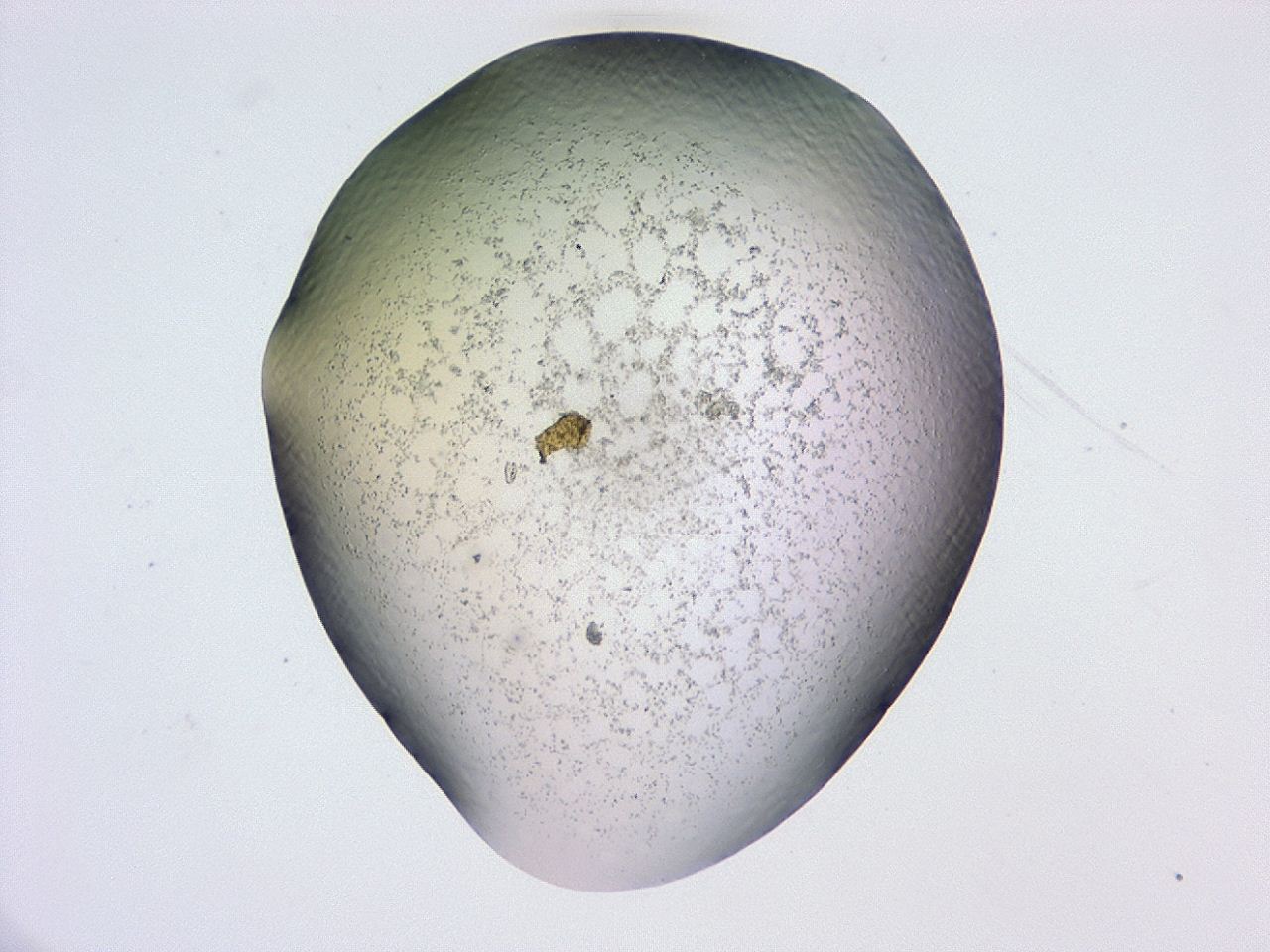 047c_G10_ImagerDefaults_3.jpg