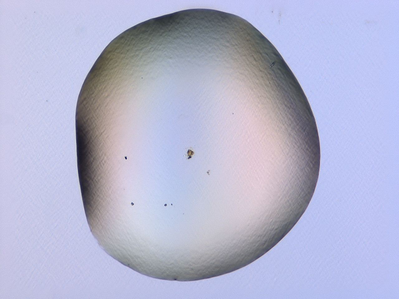 047c_G11_ImagerDefaults_1.jpg