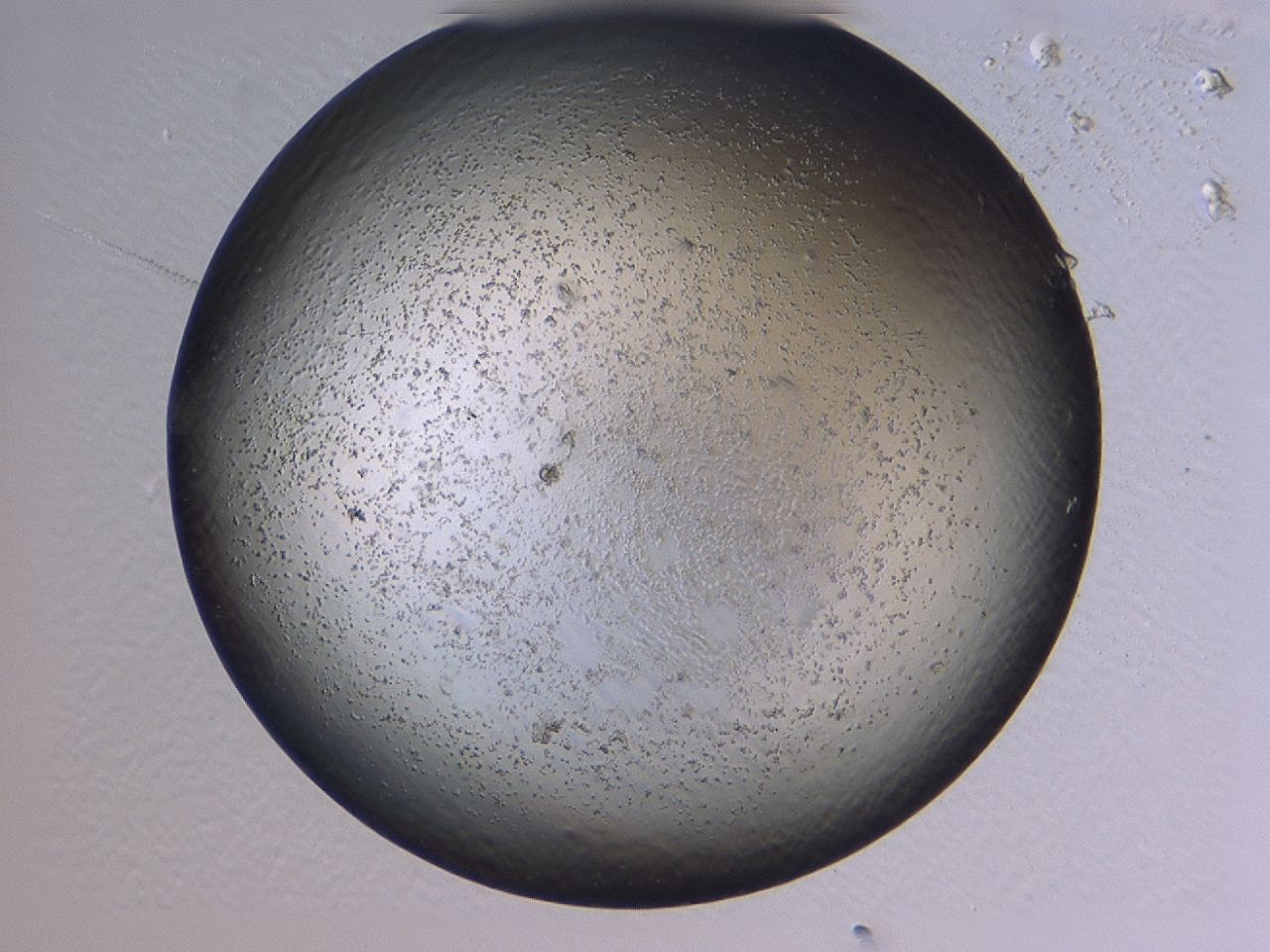 047c_H1_ImagerDefaults_3.jpg