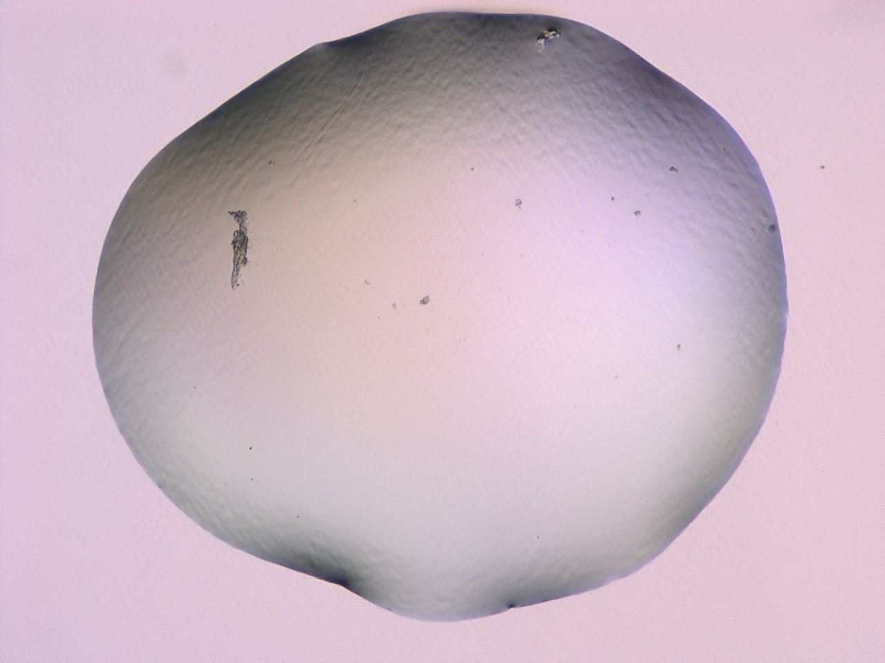 047c_H6_ImagerDefaults_1.jpg