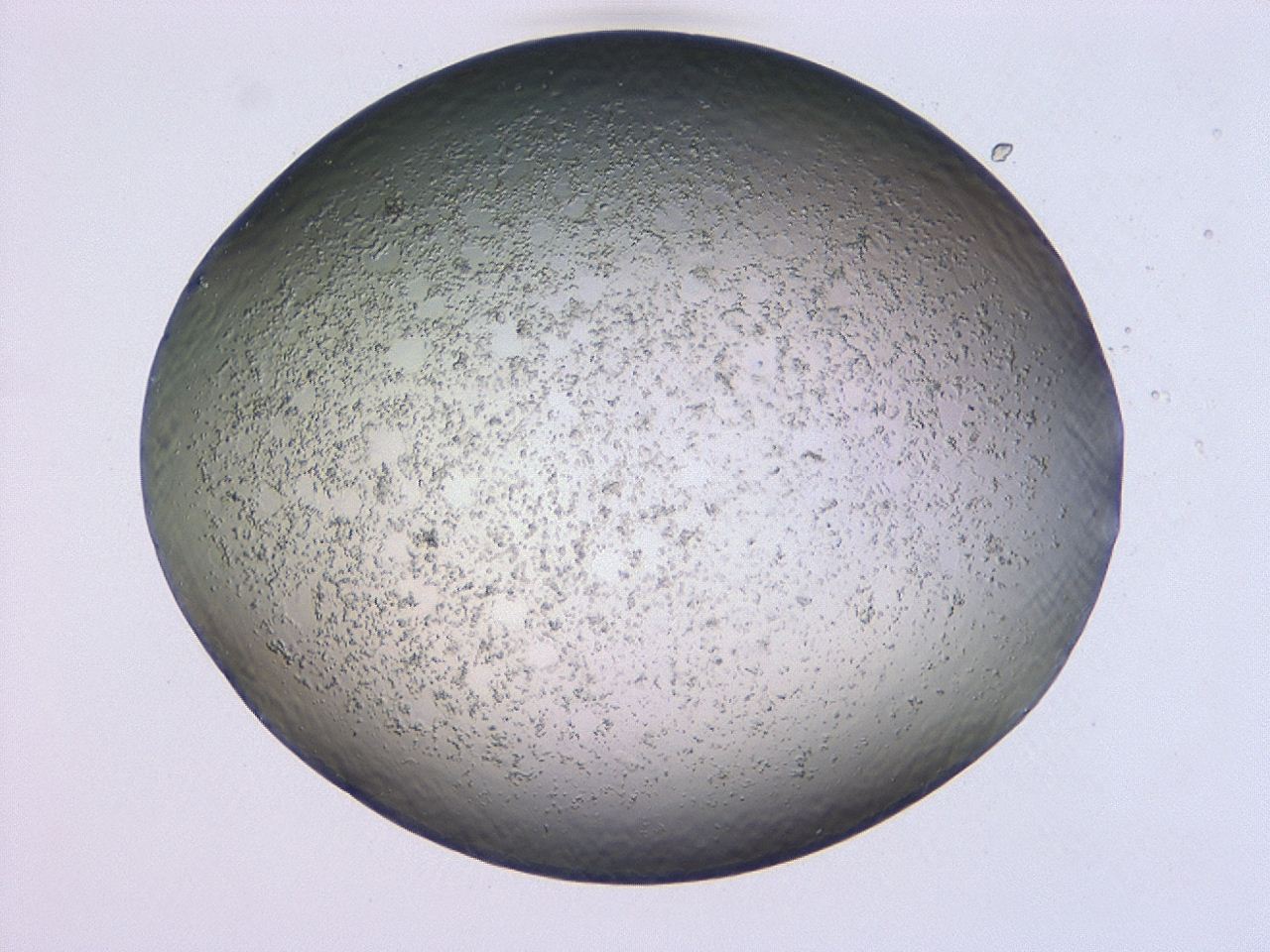 047c_H7_ImagerDefaults_3.jpg