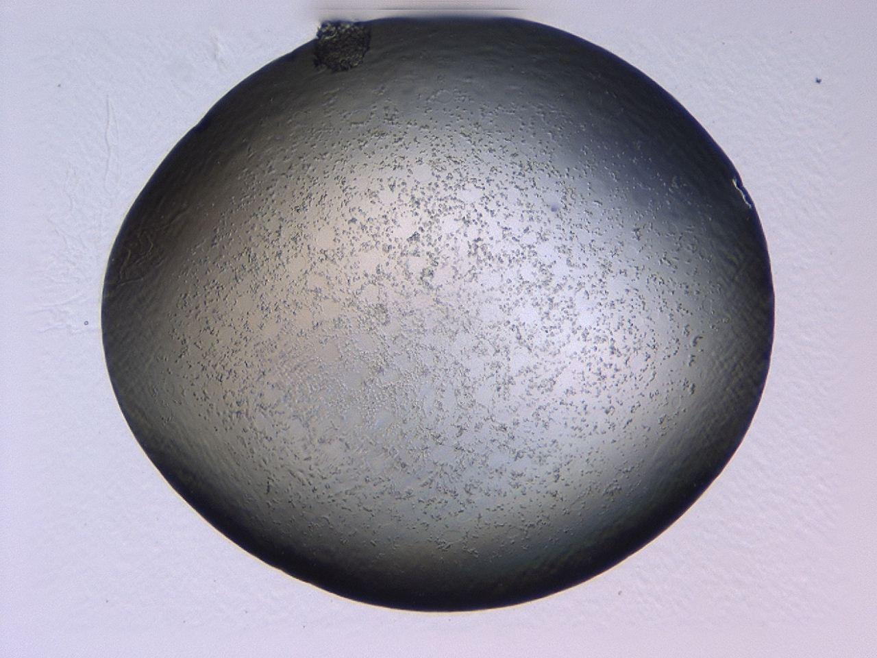 047c_H8_ImagerDefaults_3.jpg
