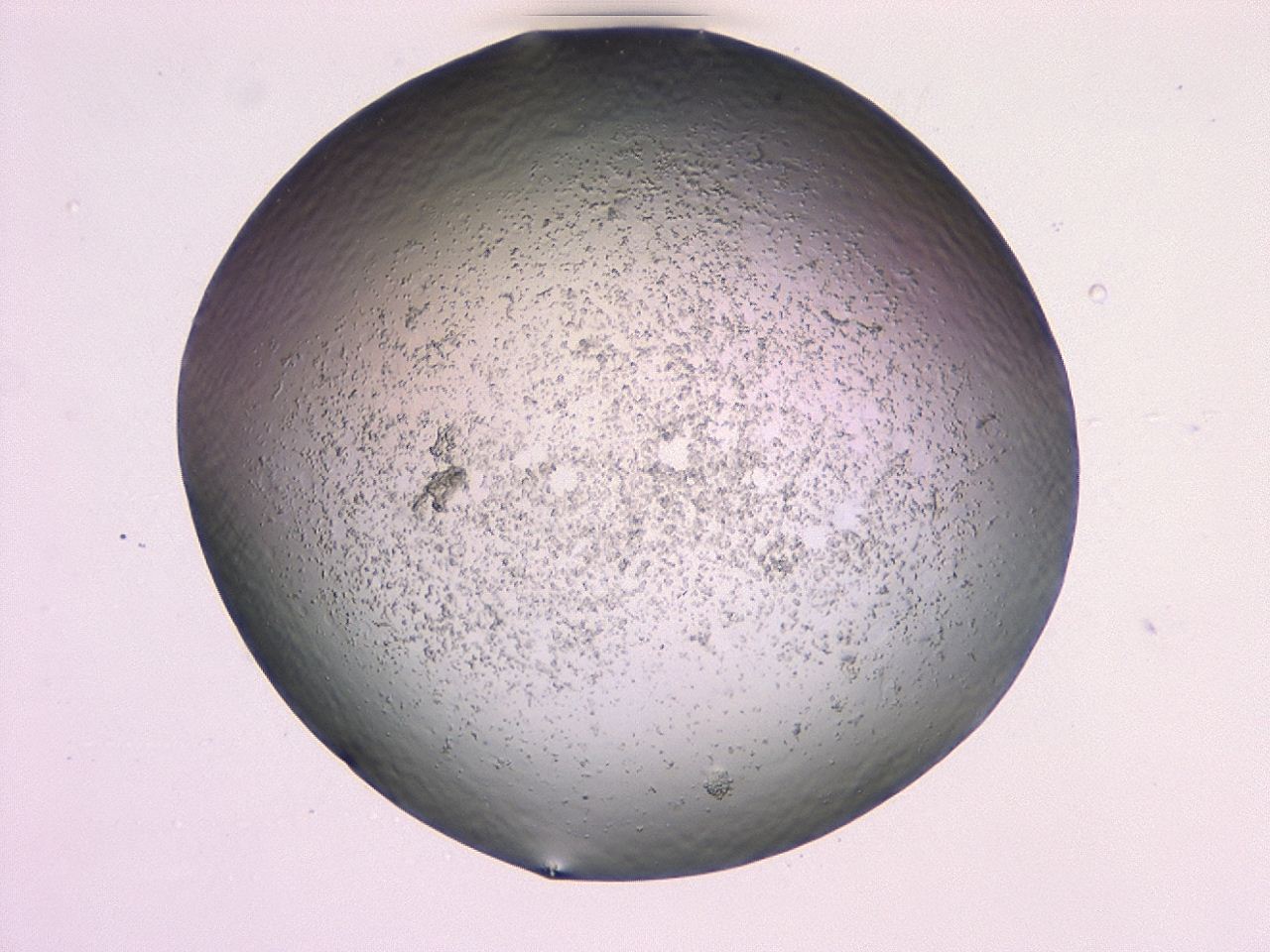 047c_H10_ImagerDefaults_3.jpg