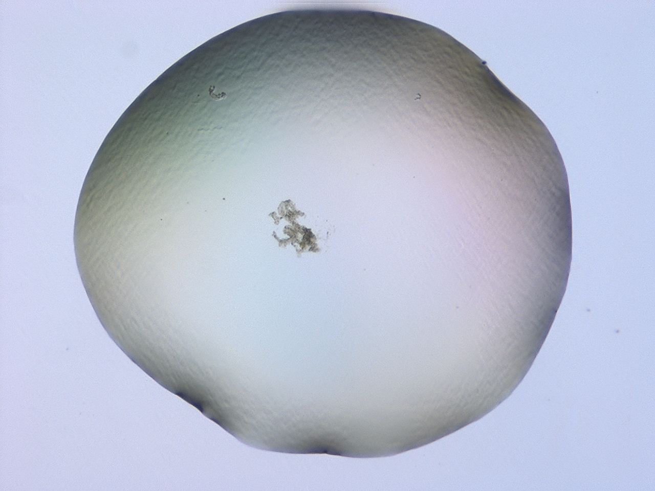 047c_H11_ImagerDefaults_1.jpg