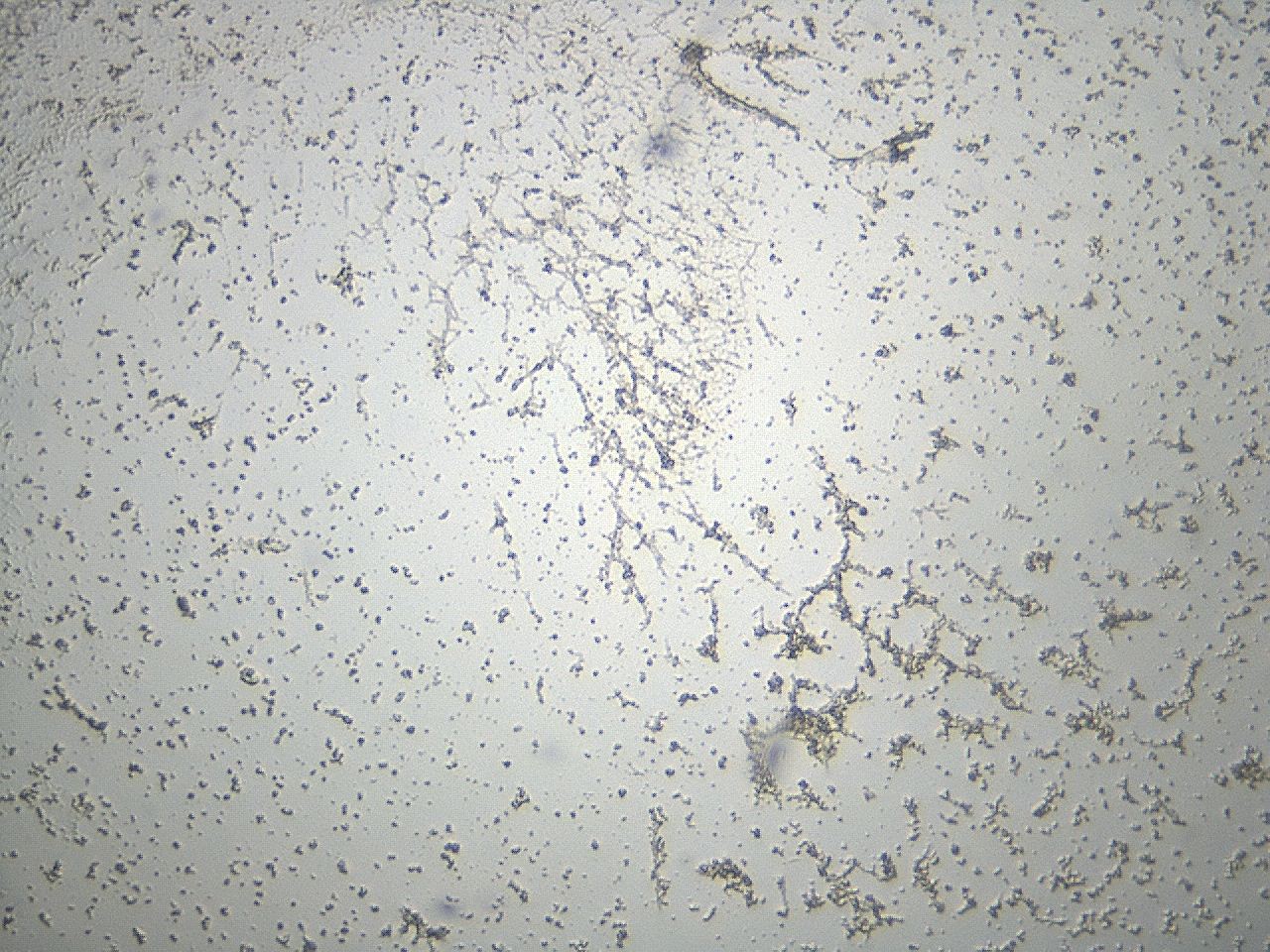 047d_C12_ImagerDefaults_3.jpg