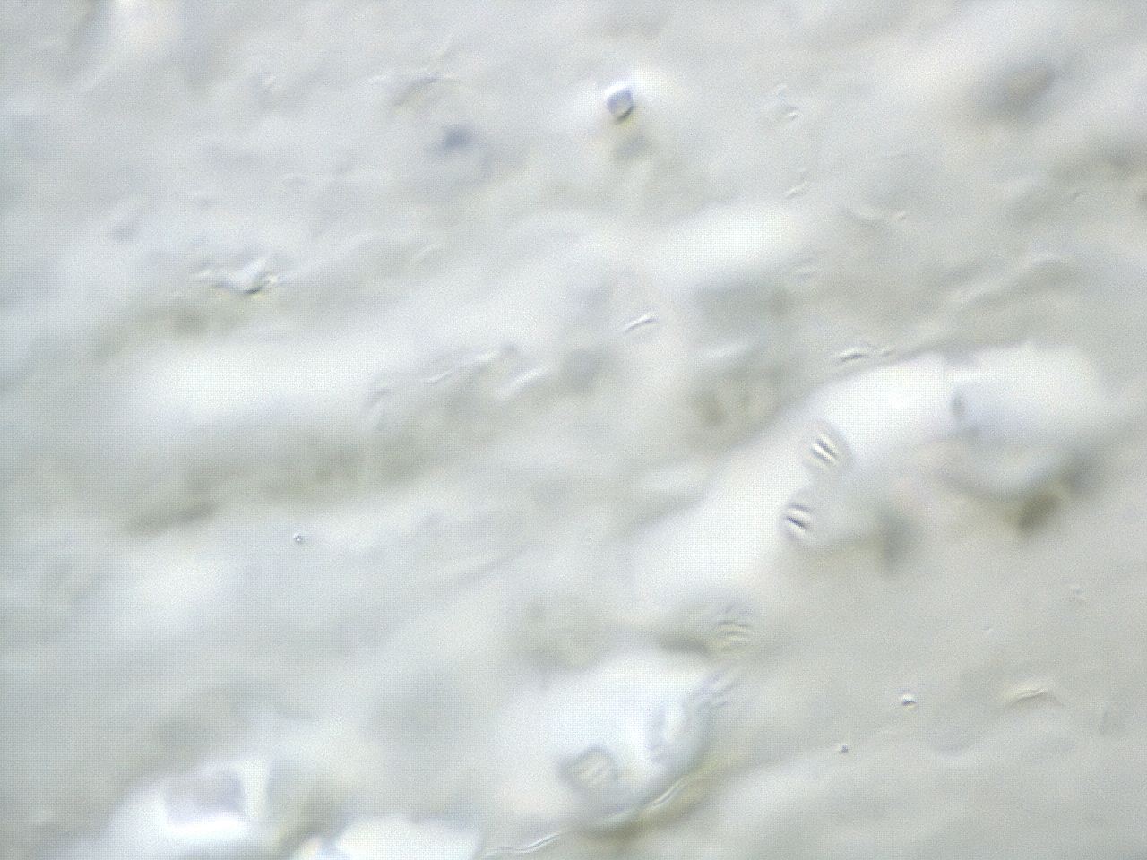 047d_C11_ImagerDefaults_3.jpg