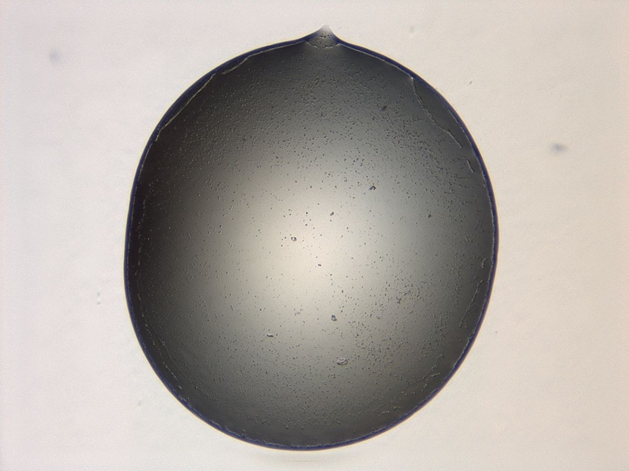 047d_A2_ImagerDefaults_0.jpg