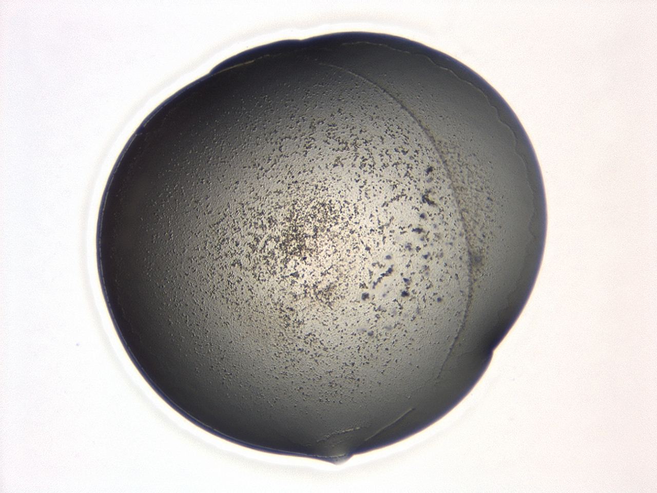 047d_A5_ImagerDefaults_3.jpg