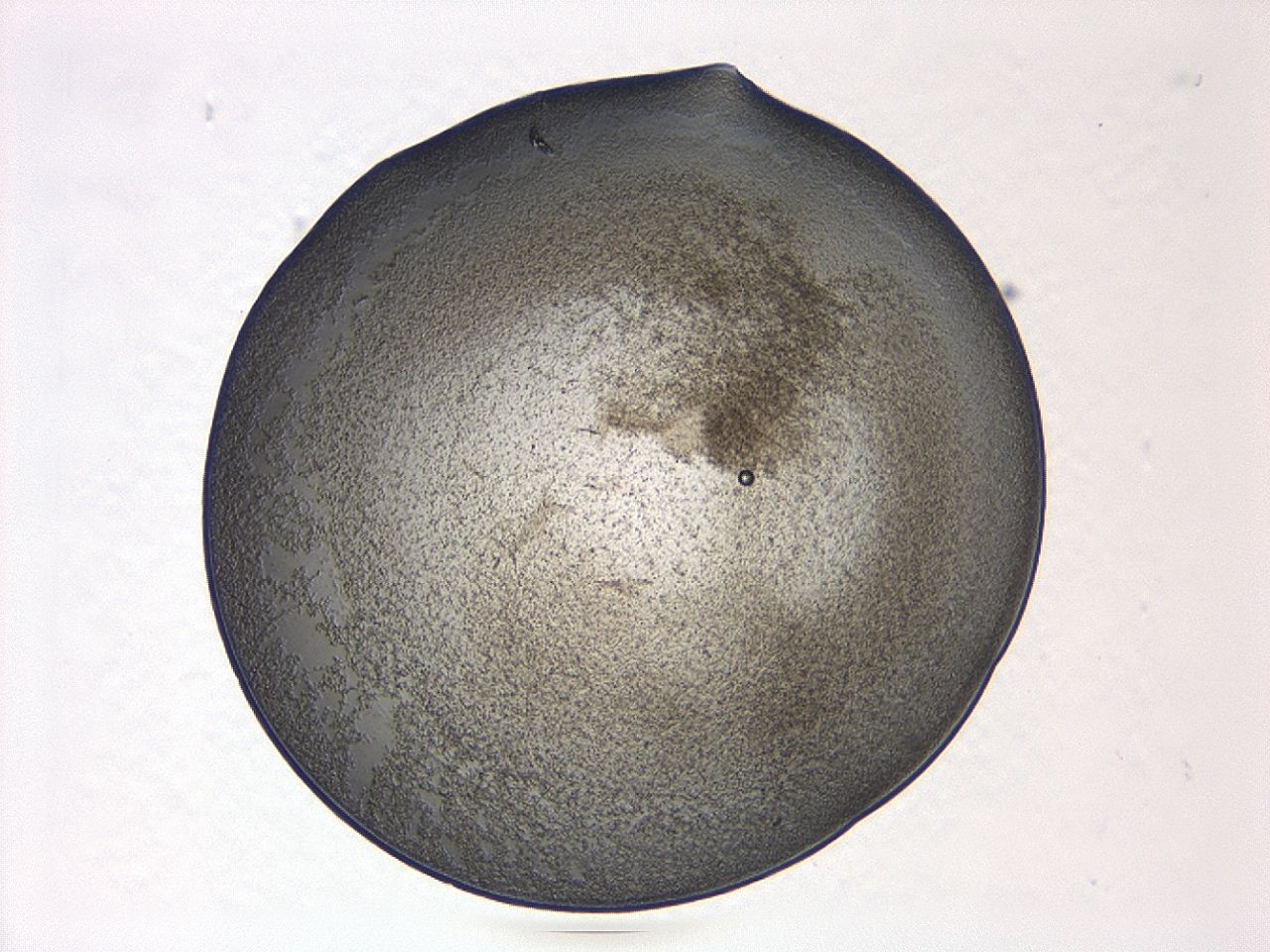 047d_A1_ImagerDefaults_3.jpg