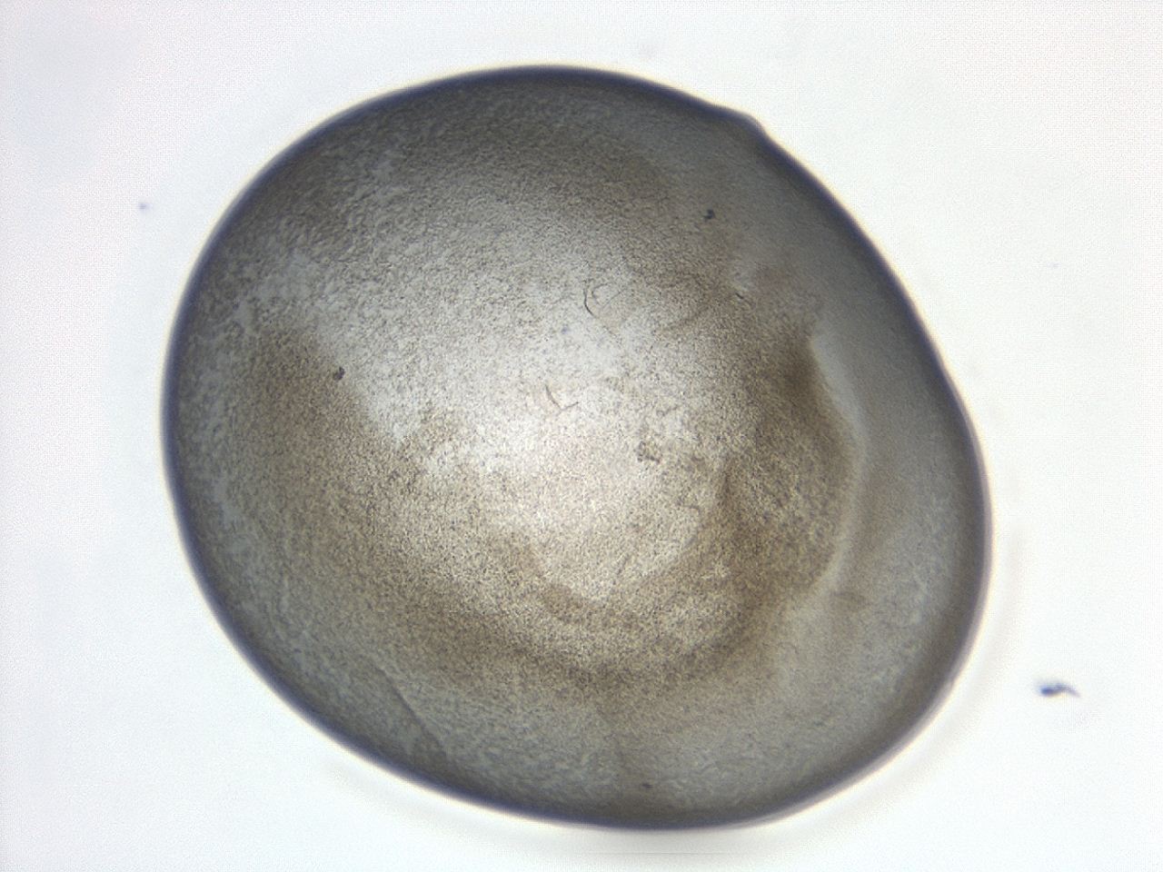 047d_D1_ImagerDefaults_3.jpg