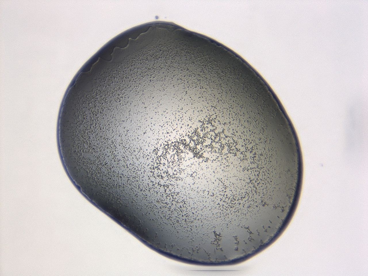 047d_D2_ImagerDefaults_3.jpg