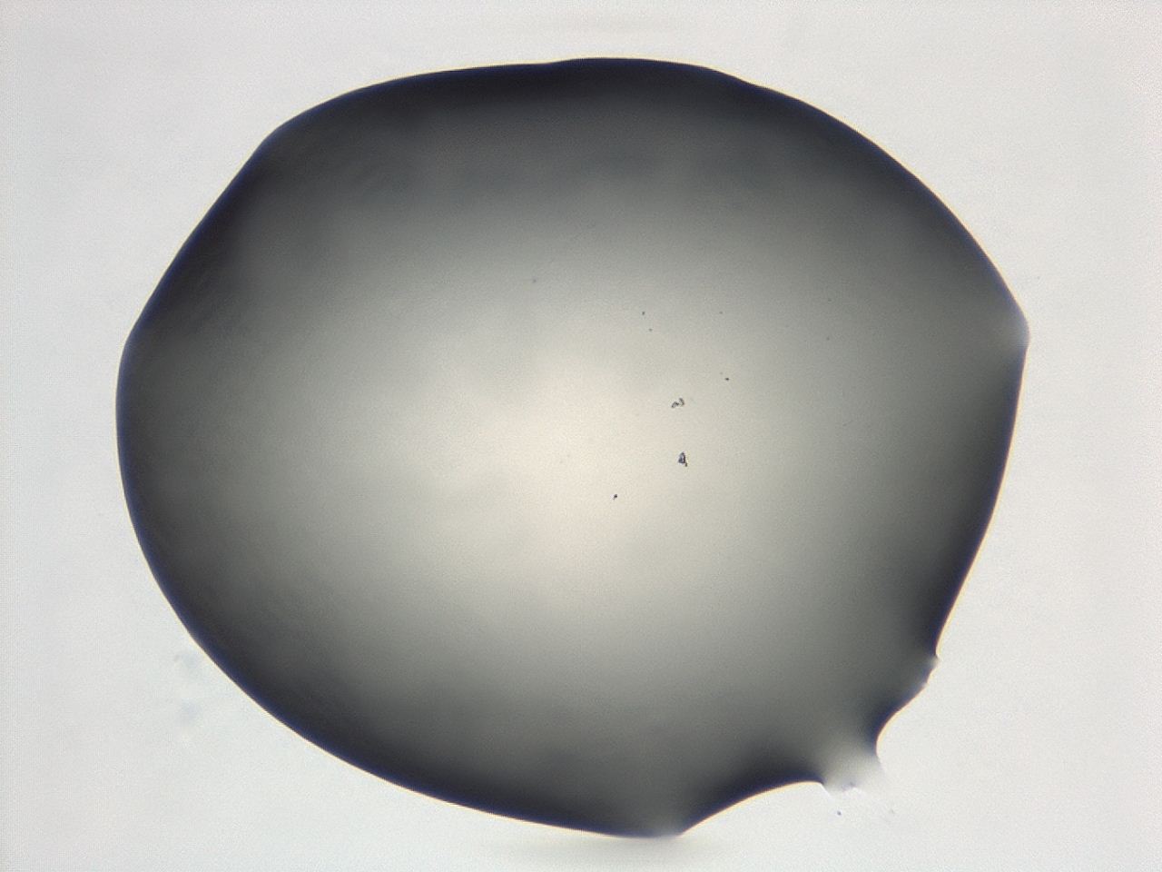 047d_D4_ImagerDefaults_0.jpg