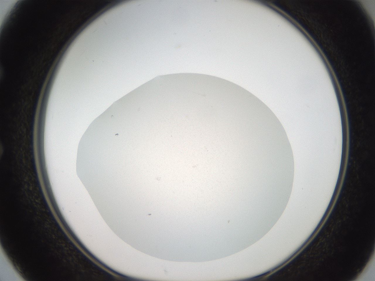 folderID474_plateID3474_batchID20290_wellNum50_profileID1_d1_r307825_ef.jpg