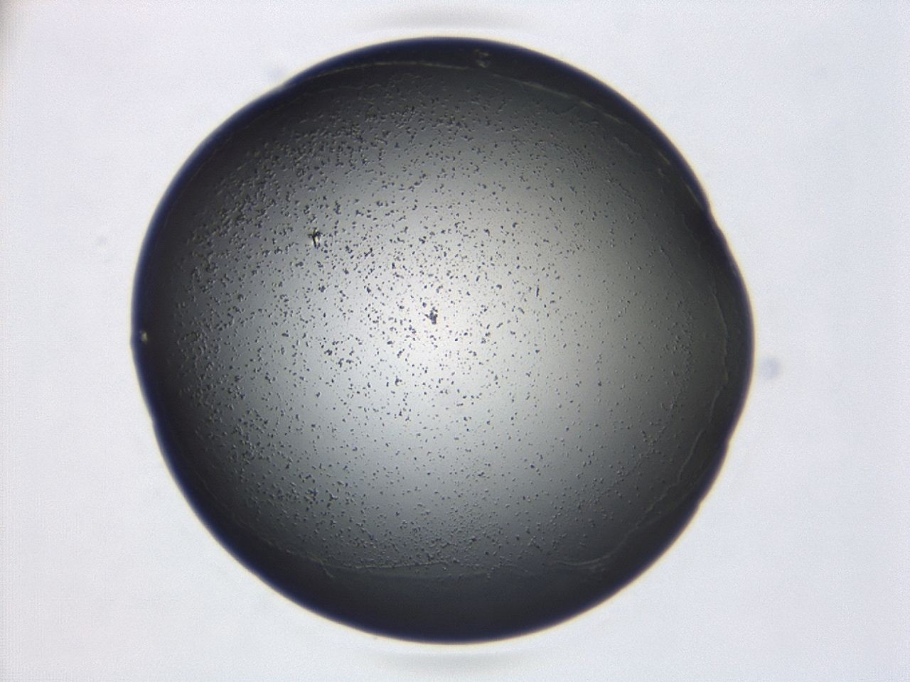 047d_E10_ImagerDefaults_3.jpg