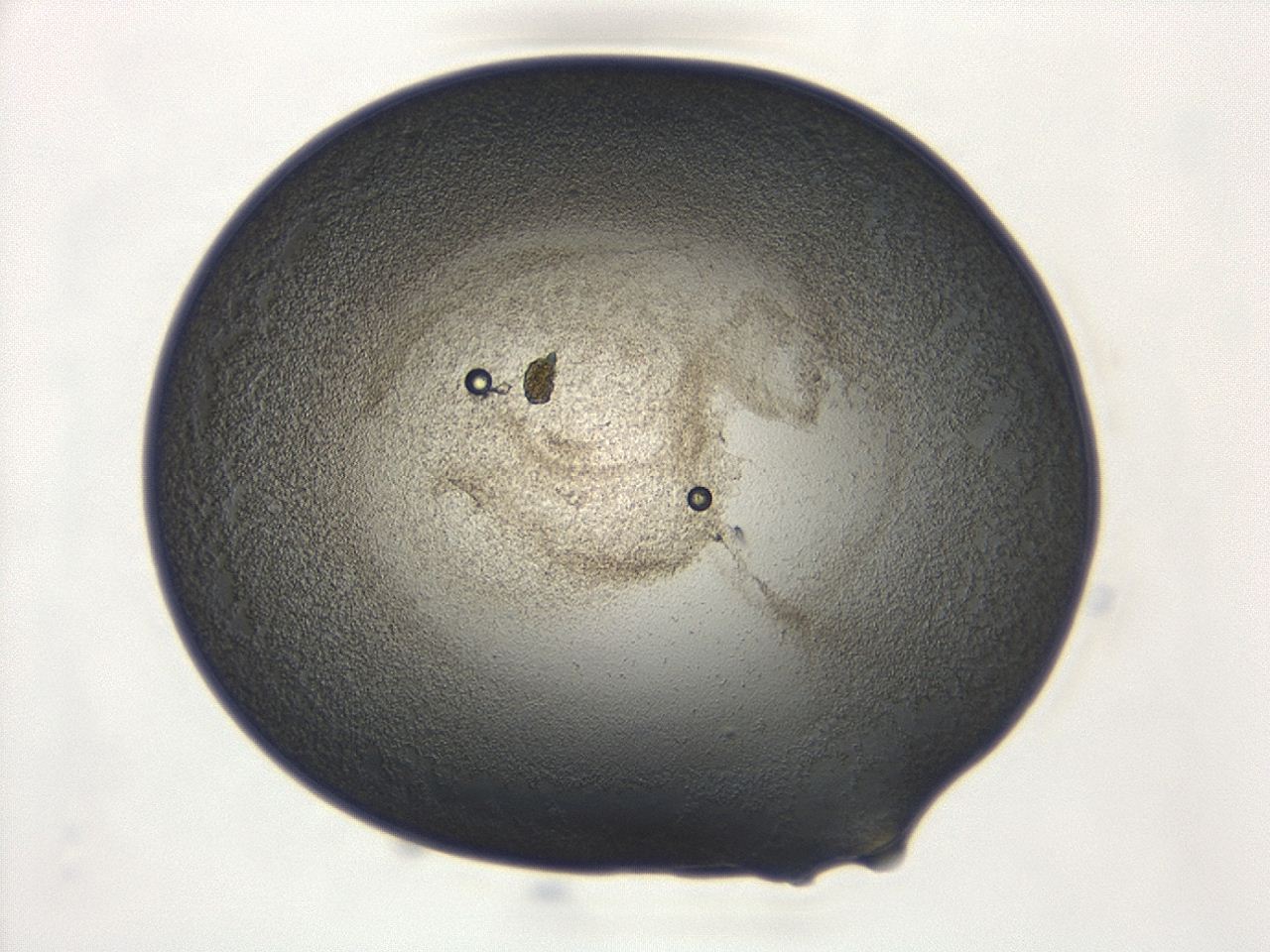 047d_E11_ImagerDefaults_3.jpg