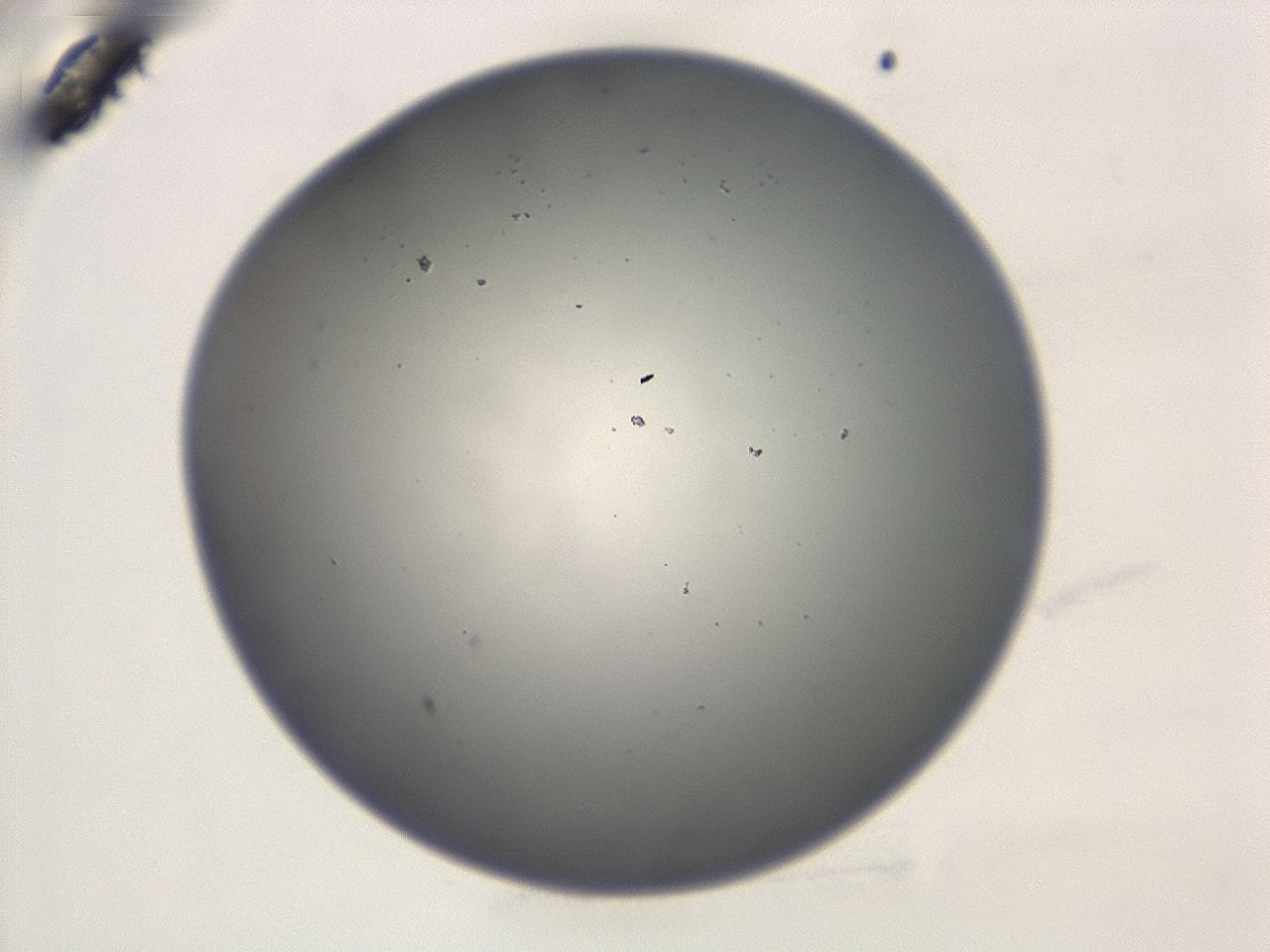 047d_E12_ImagerDefaults_0.jpg