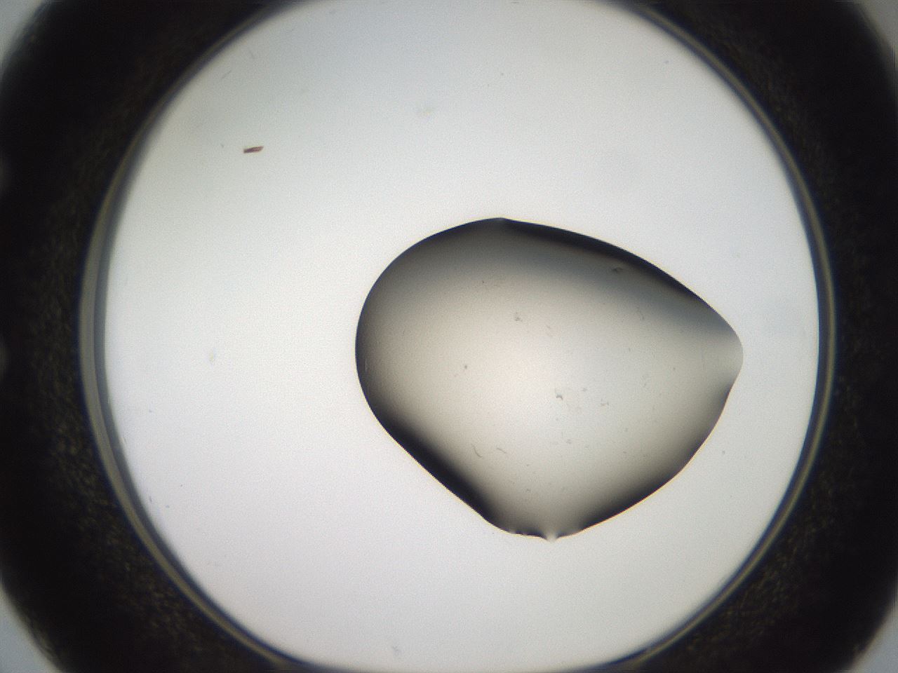 folderID476_plateID3476_batchID20462_wellNum50_profileID1_d1_r308017_ef.jpg