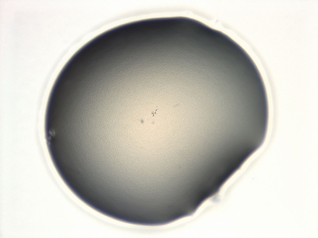 047d_F1_ImagerDefaults_0.jpg