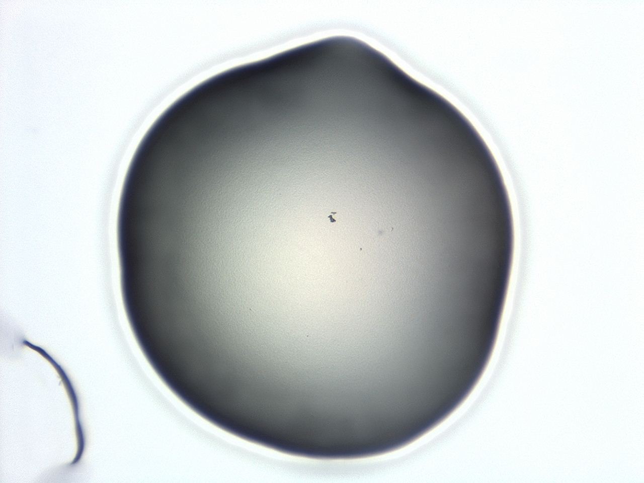 047d_F2_ImagerDefaults_0.jpg