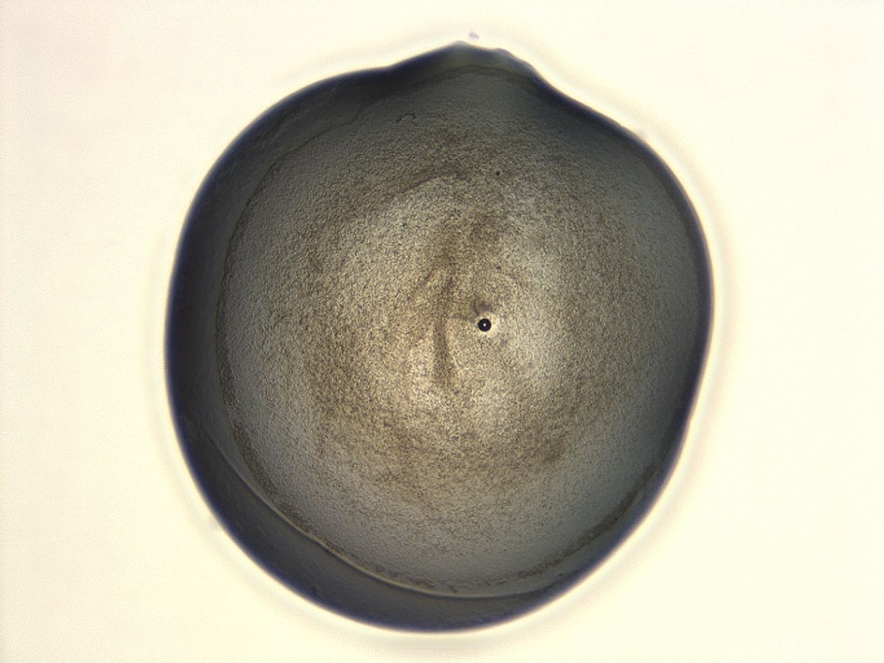 047d_F3_ImagerDefaults_3.jpg