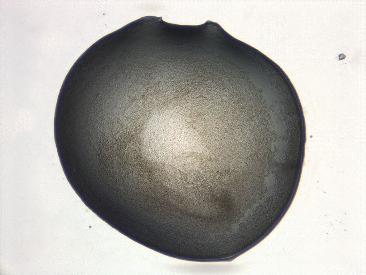 047d_F5_ImagerDefaults_3.jpg