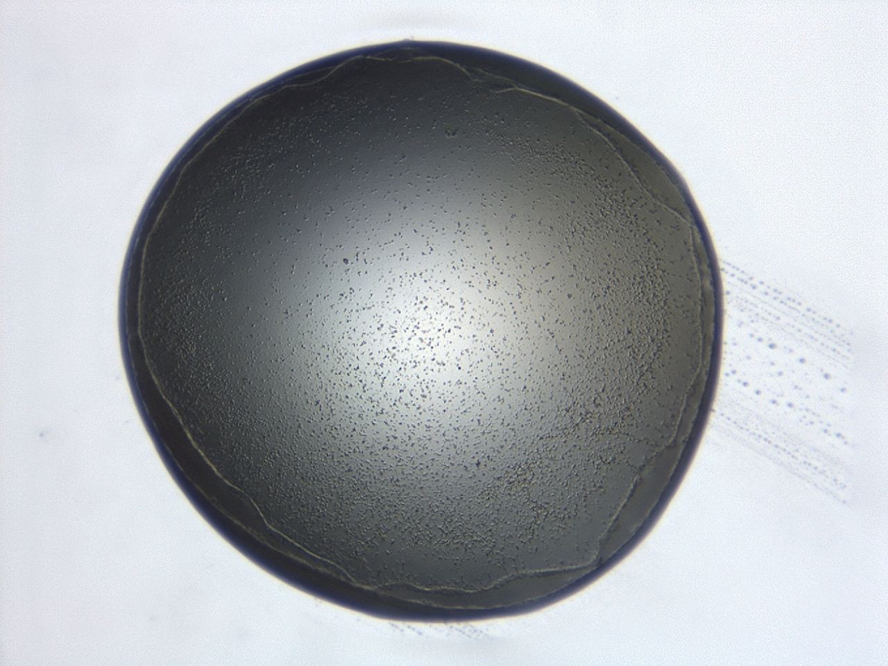 047d_F6_ImagerDefaults_3.jpg