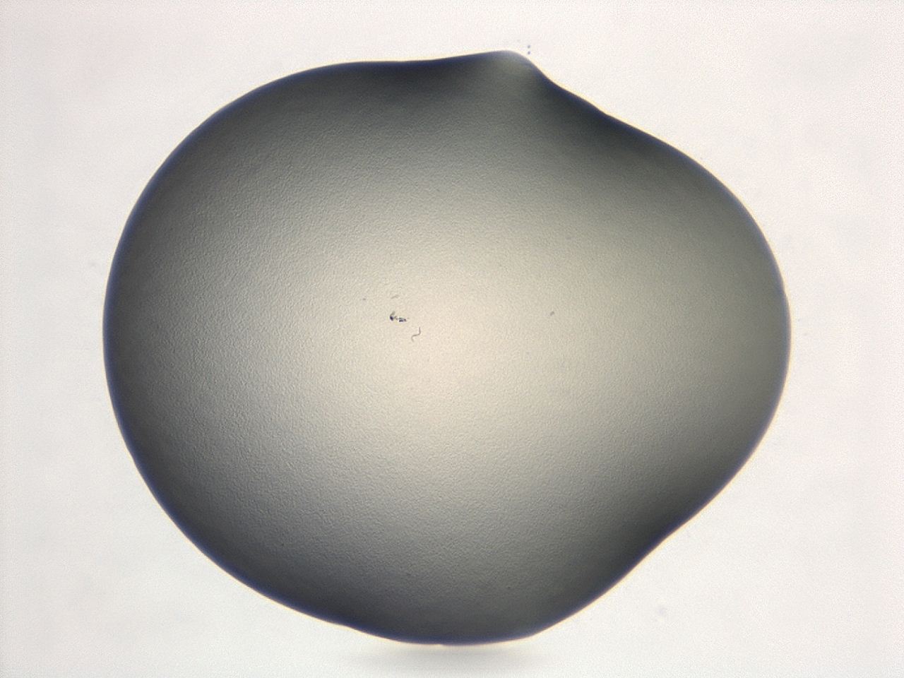 047d_F8_ImagerDefaults_0.jpg
