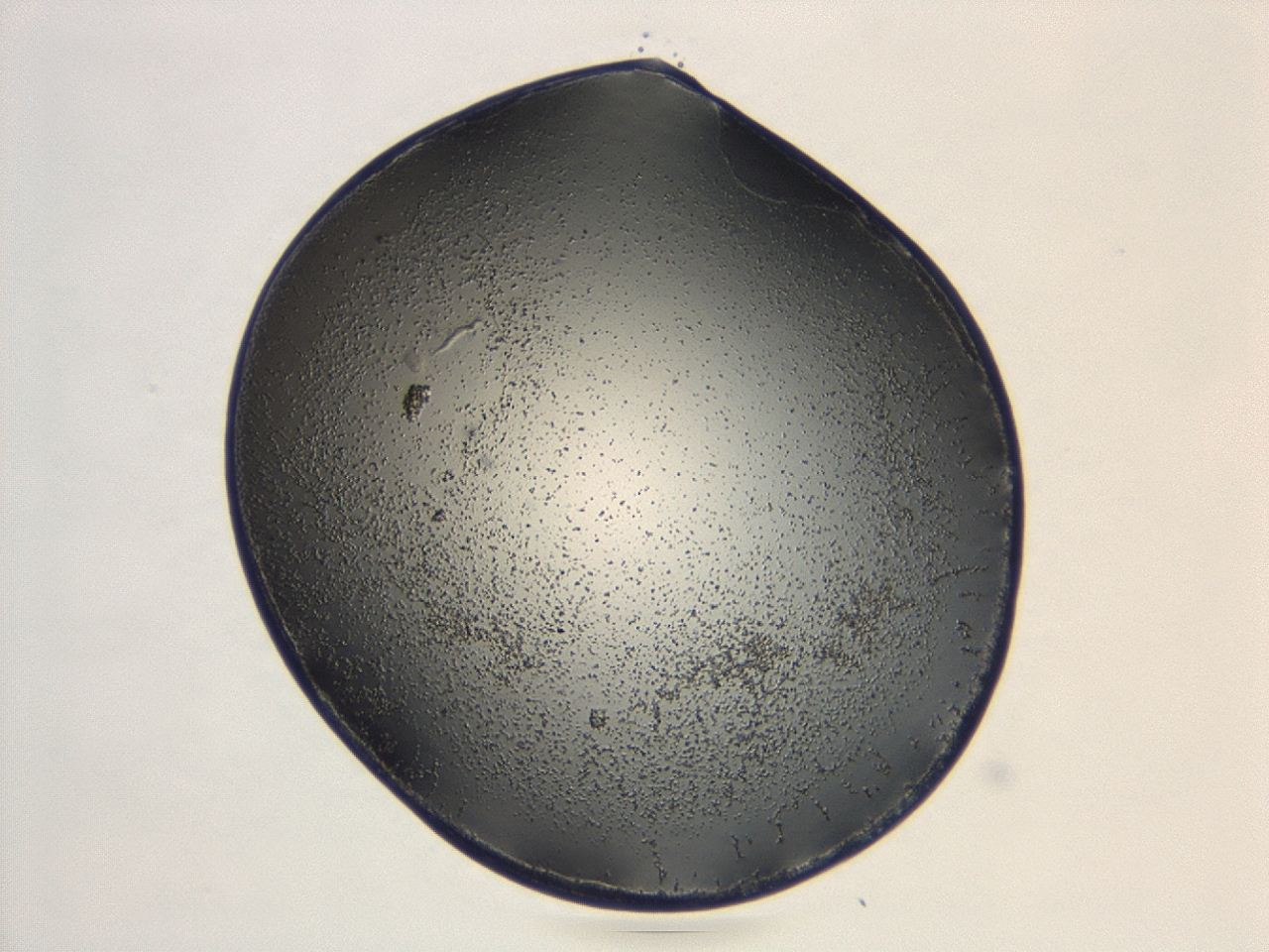 047d_B2_ImagerDefaults_3.jpg