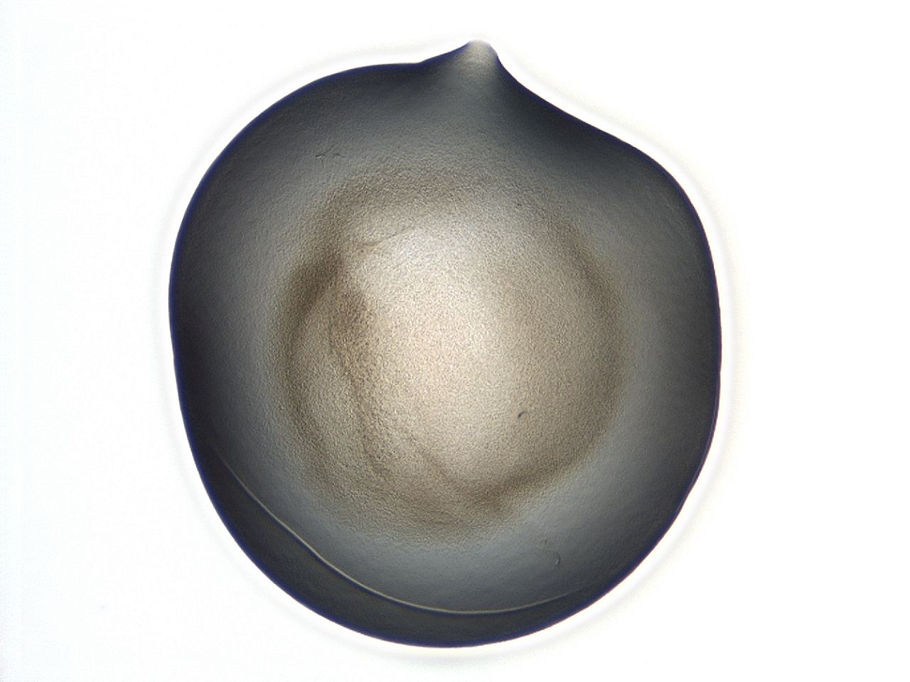 047d_B3_ImagerDefaults_3.jpg