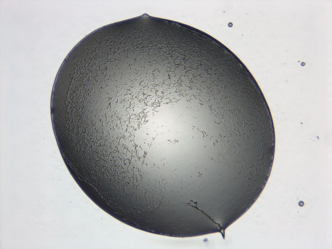 047d_B4_ImagerDefaults_3.jpg