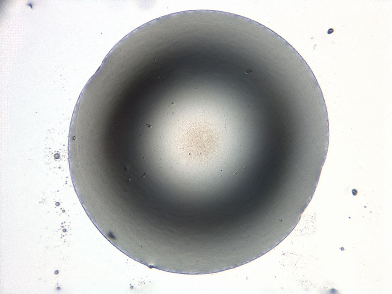 047d_B6_ImagerDefaults_0.jpg