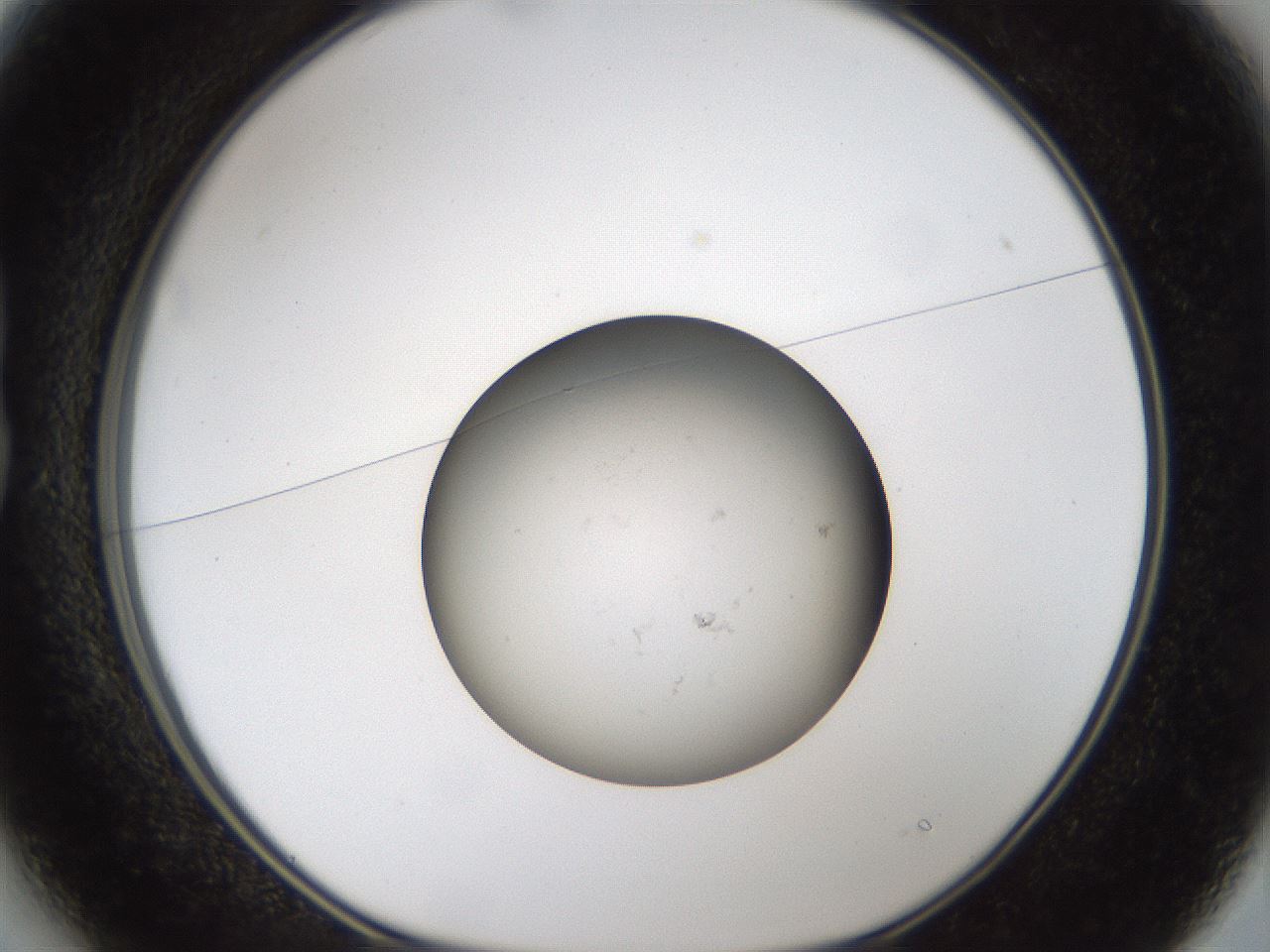 folderID47_plateID1047_batchID2392_wellNum13_profileID1_d1_r47124_ef.jpg
