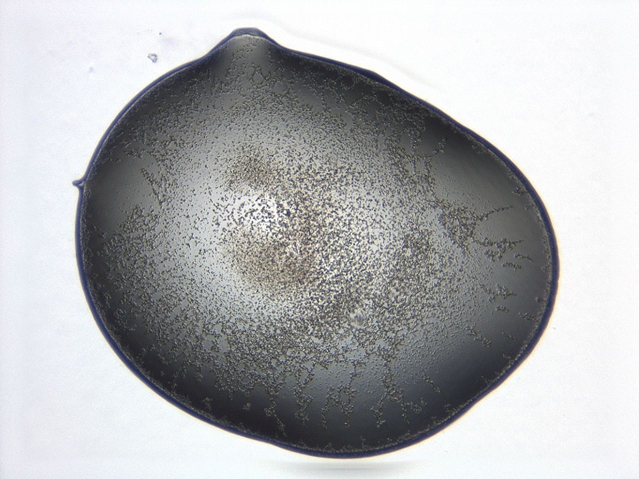 047d_B8_ImagerDefaults_3.jpg