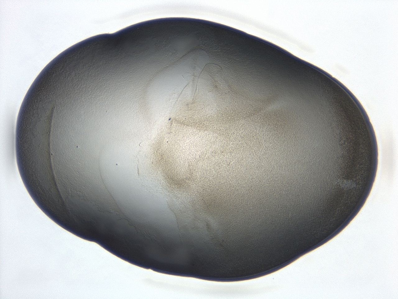 047d_B9_ImagerDefaults_3.jpg