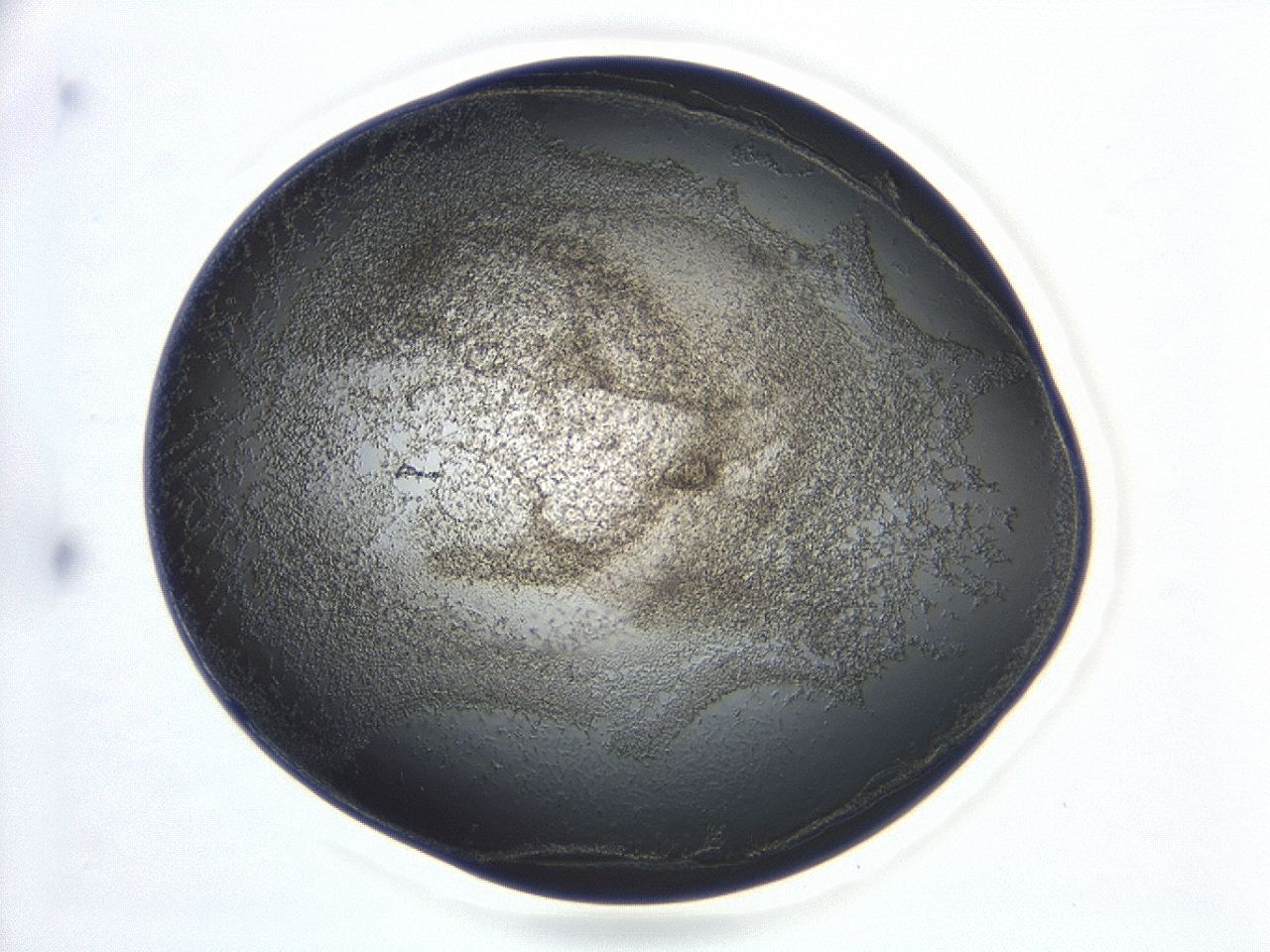 047d_B10_ImagerDefaults_3.jpg