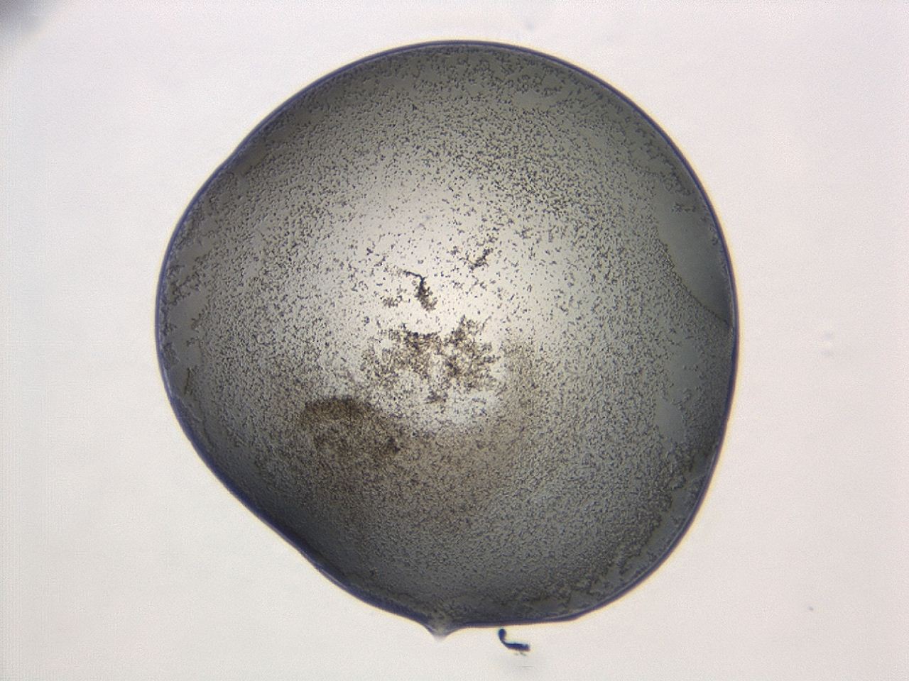047d_C2_ImagerDefaults_3.jpg