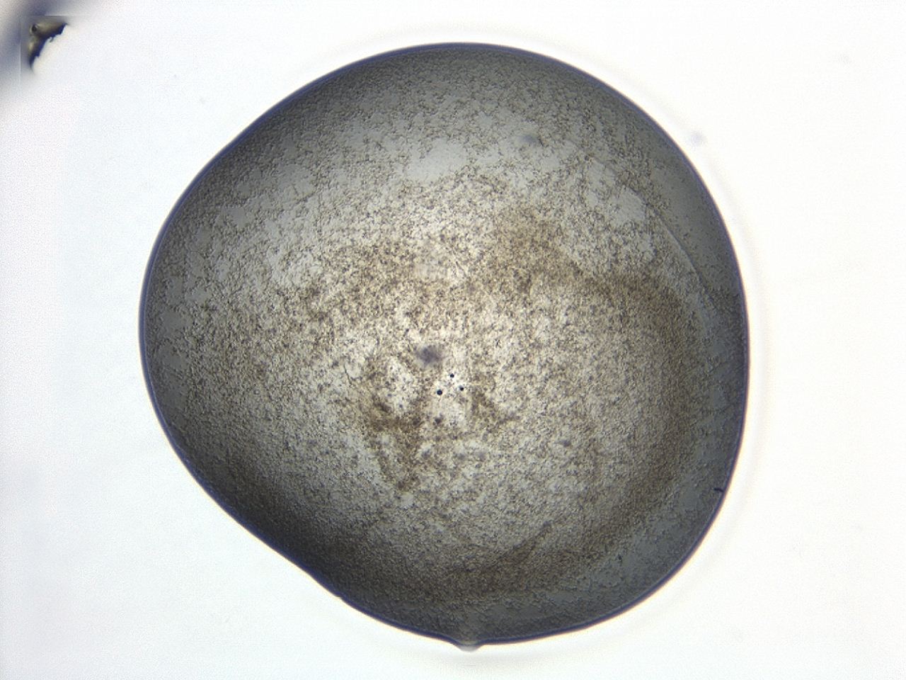 047d_C3_ImagerDefaults_3.jpg