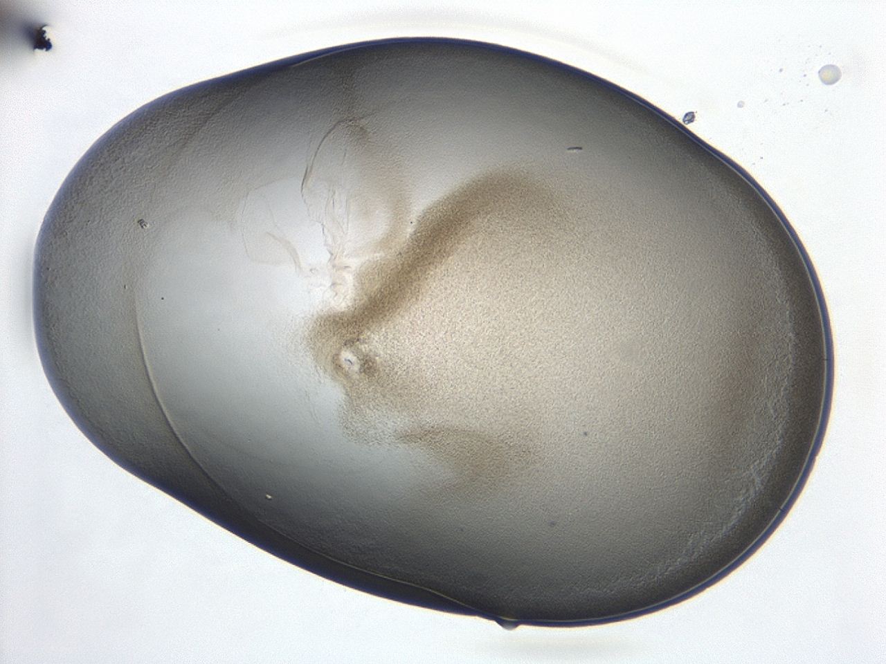 047d_C5_ImagerDefaults_3.jpg