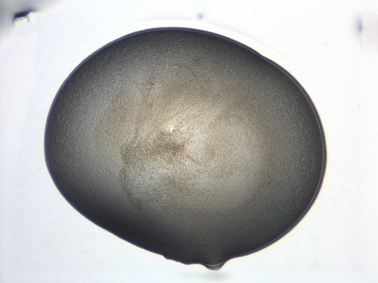 047d_C7_ImagerDefaults_3.jpg