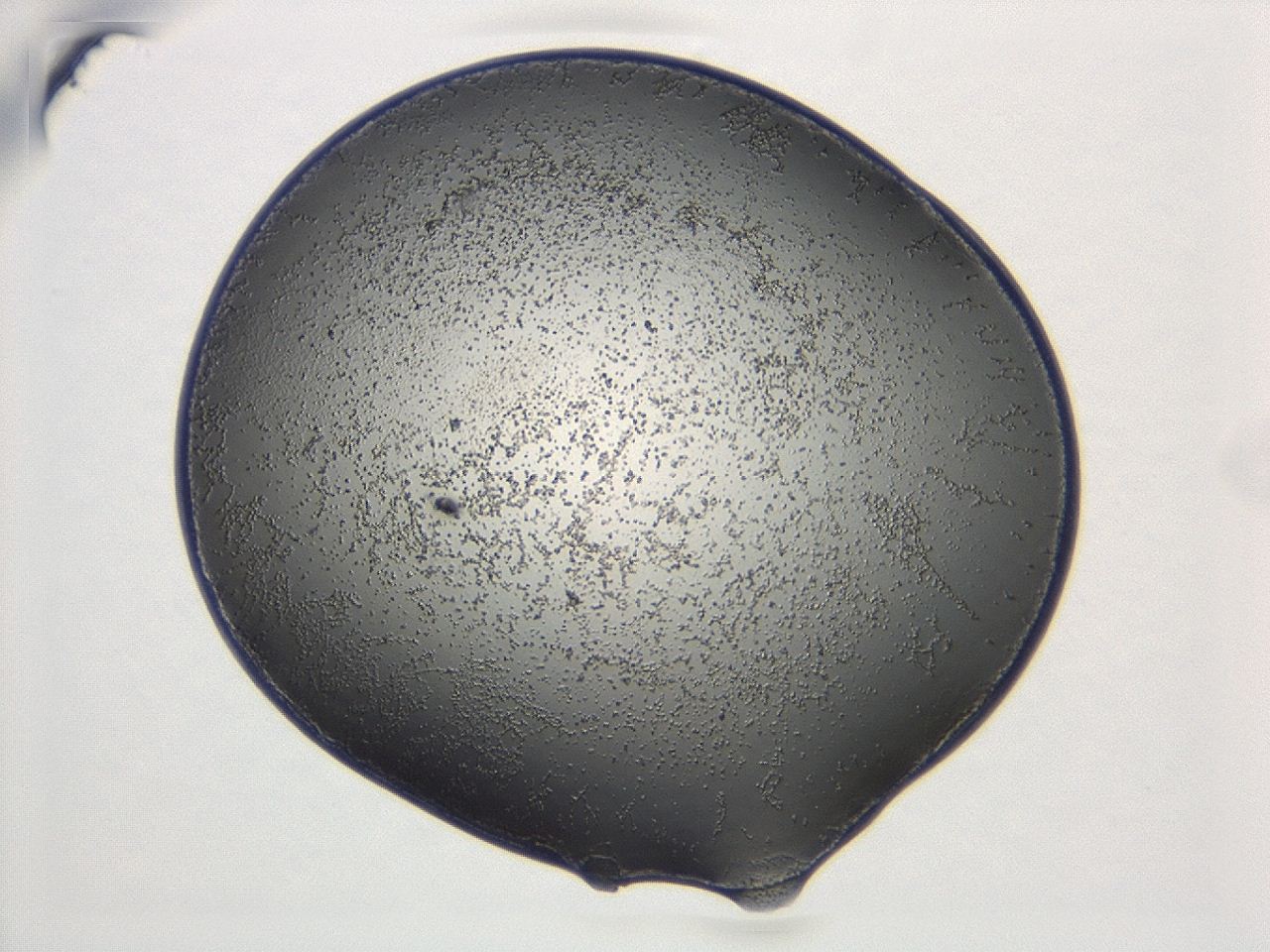 047d_C8_ImagerDefaults_3.jpg