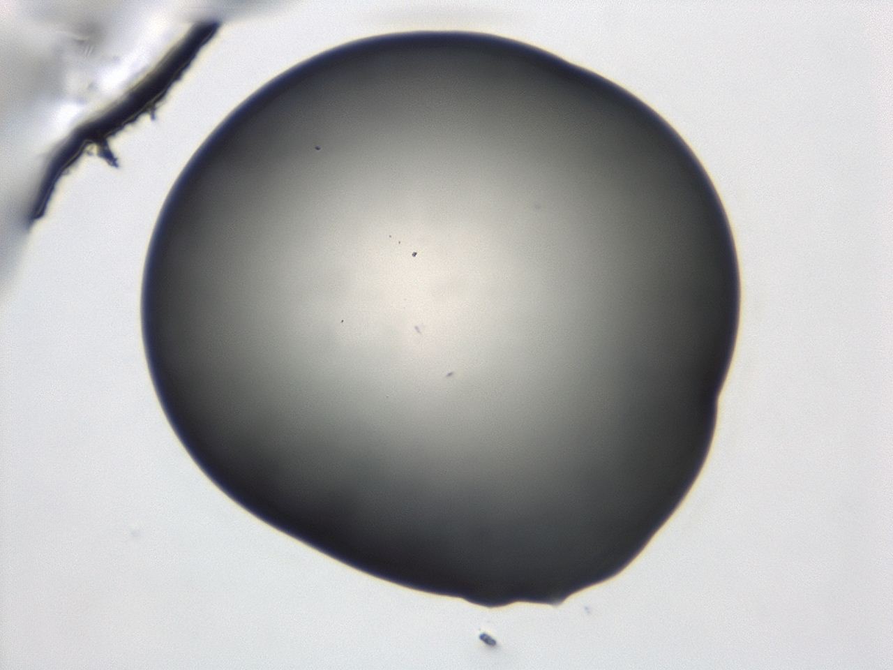 047d_C9_ImagerDefaults_0.jpg