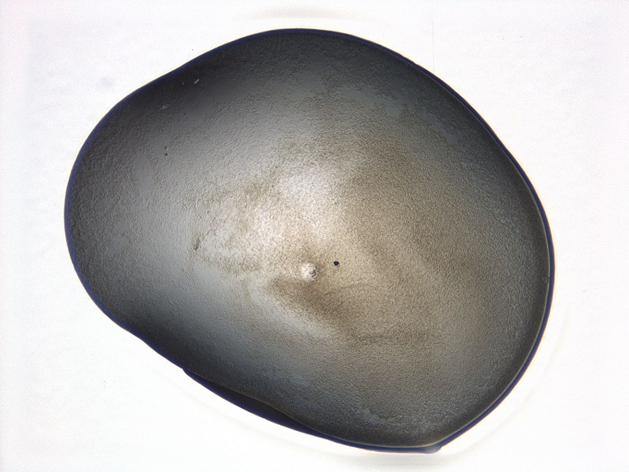 047d_D6_ImagerDefaults_3.jpg